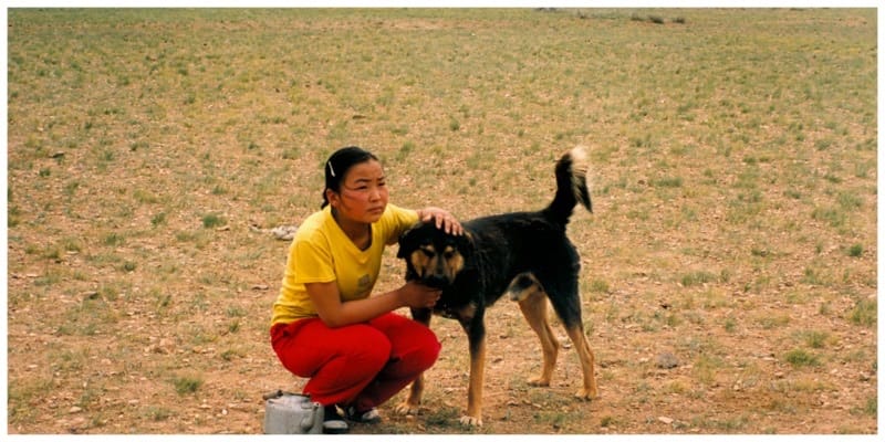 Mongolië meisje met hond
