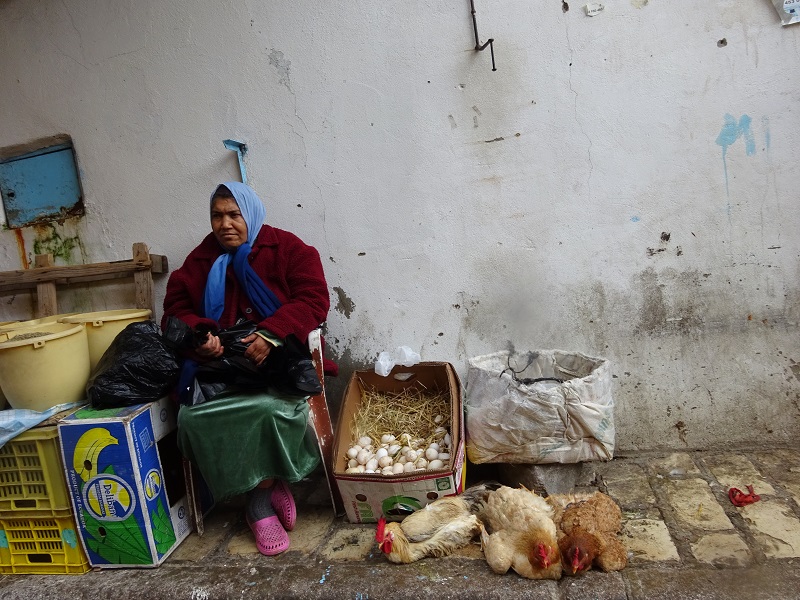 Tunesie in het laagseizoen markt vrouw met kippen