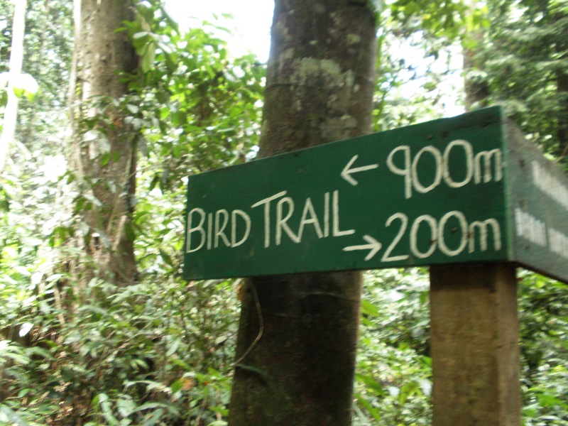 trail hike Borneo