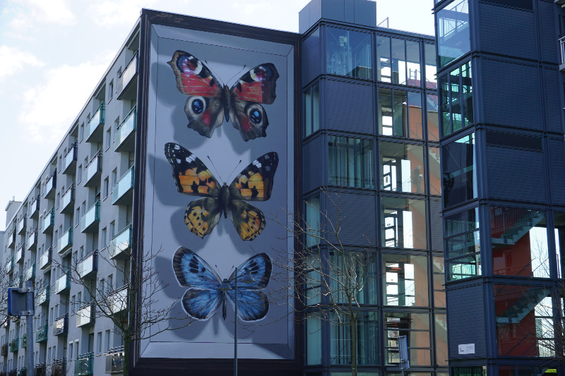 Breda Blind Walls Gallery vlinders