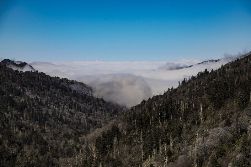 smokey mountain national-park verenigde staten travel2america