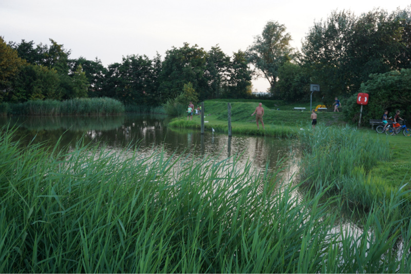 Vakantiepark Koningshof Rijnsburg visvijver streek van verrassingen
