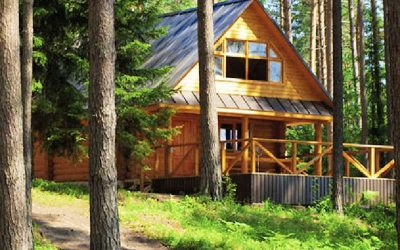 Vakantiehuisje in het bos | Puur genieten te midden van de natuur