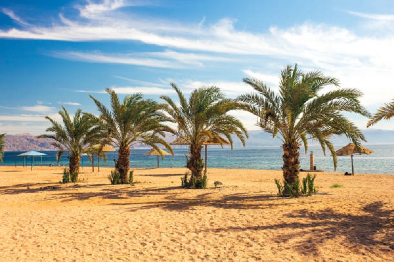 Jordanië South Beach Aqaba palmbomen strand