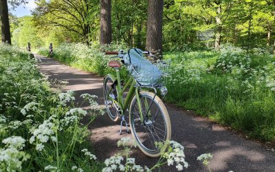 Fietsroute Markdal (omgeving Breda) | Trappen langs de grens