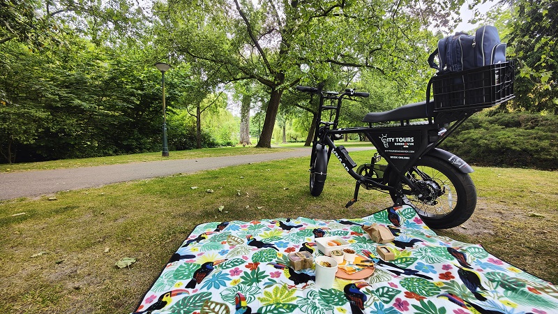 Brabant Nederland parken in Eindhoven zijn ideaal voor een picknick kleed en Efatbike