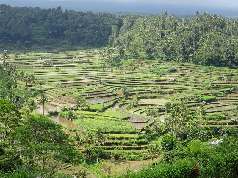 Bali omgeving Gunumg Agung