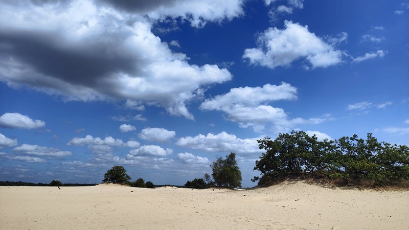 Loonse en Drunense duinen brabantse sahara