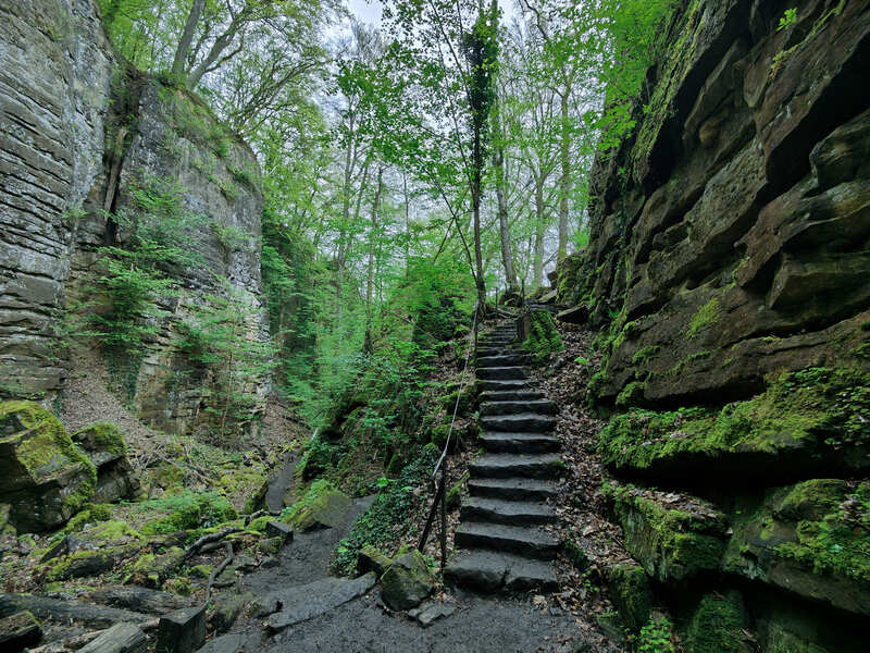 Wandelen in de Wollefsschlucht Müllerthal Luxemburg