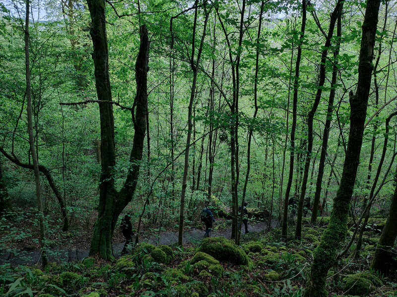 Müllerthal Luxemburg