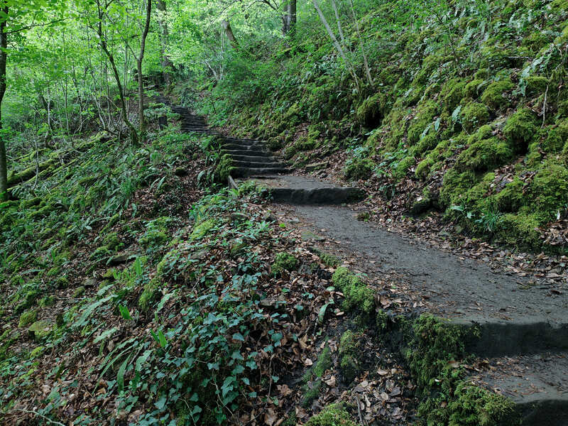 Wandelen in Luxemburg