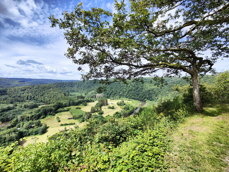 Uitzichtspunt Ardennen