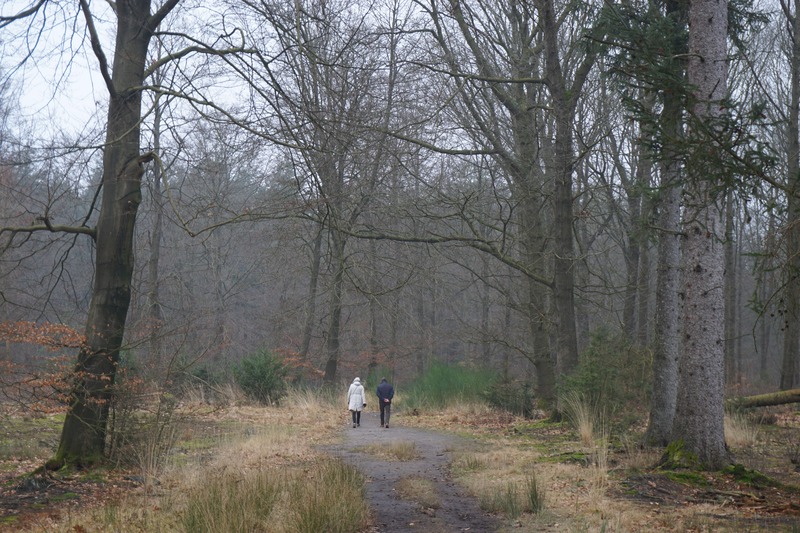 wandelen Nederland Drenthe Veenpluisroute (2)