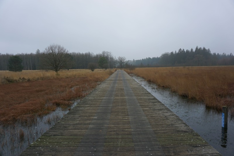 wandelen Nederland Drenthe Veenpluisroute