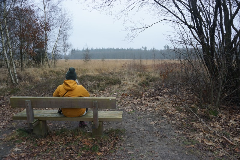 wandelen Nederland Drenthe Grolloo