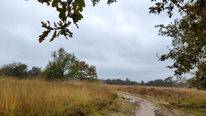 Wandelen in Brabant Zundert