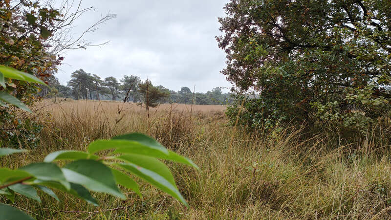 Wandelen in Brabant