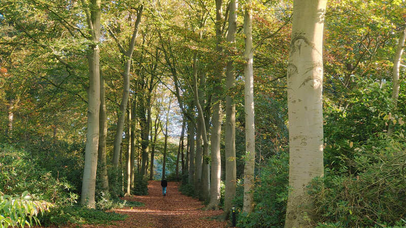 Kloosterrondwandeling Huijbergen Brabant Nederland wandelen