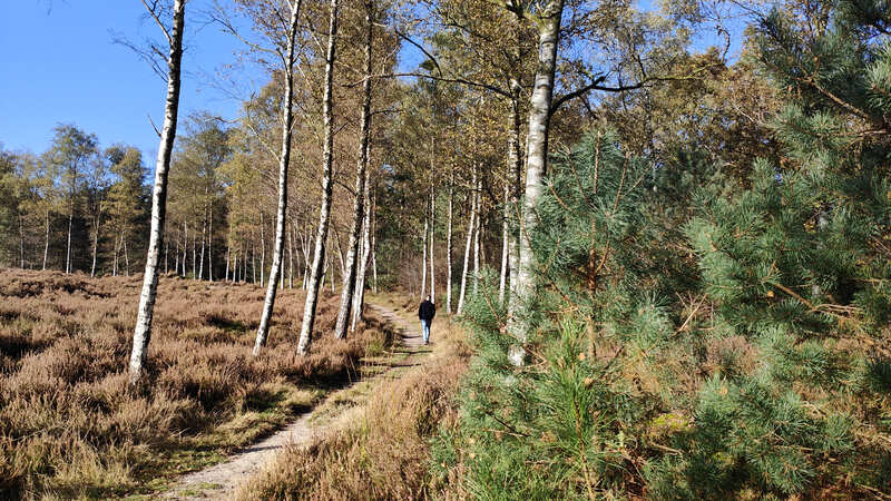 Grenspark Kalmthoutse Heide