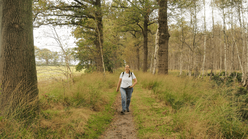 Wandelen in Brabant