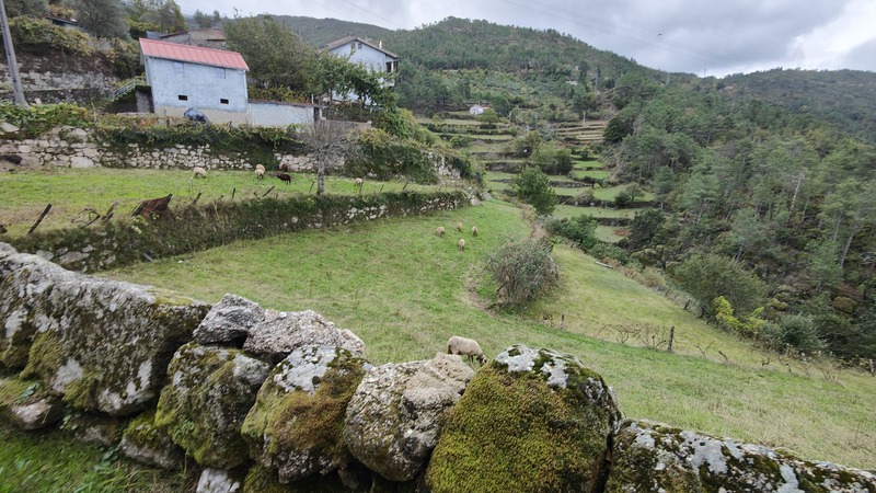 Hiken in het Serra da Estrela-gebergte roadtrip Portugal