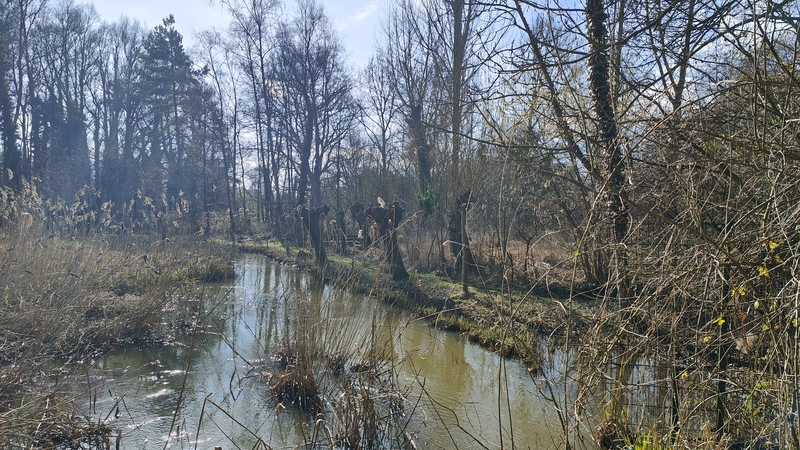 Nederland Brabant wandelen Dommelpad