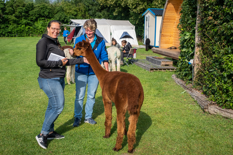 Kamperen in Zeeland Aan de Waterspiegel in Aagtekerke