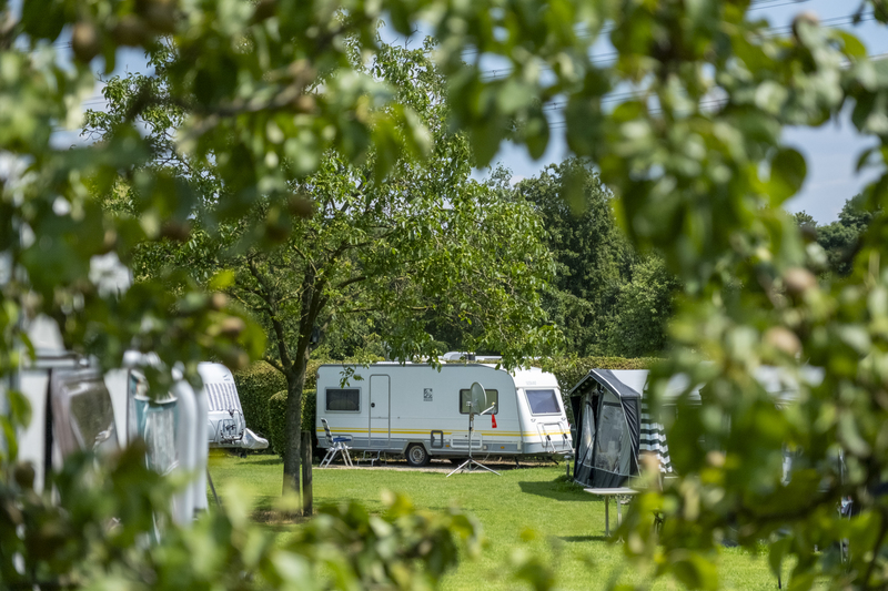 Sangershoeve Kamperen in Limburg