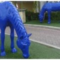 Aruba Walking Tours blauwe paarden
