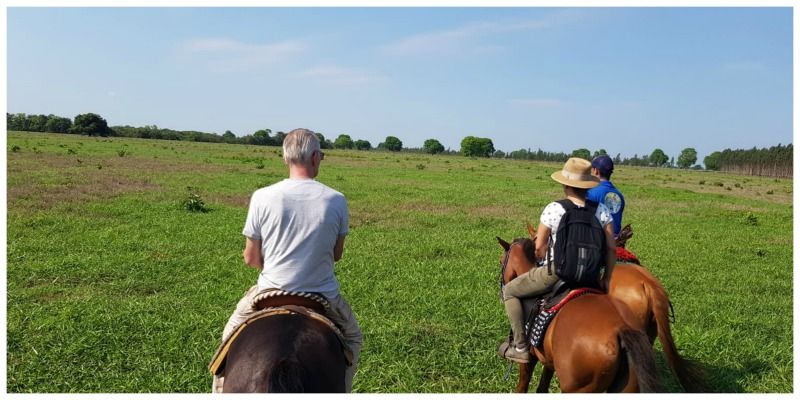paardrijden Pantanal