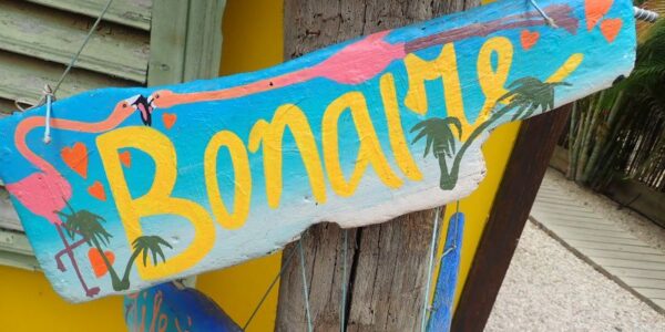 Elke en Jan zijn guesthousesitters op Bonaire Driftwood op Bonaire
