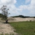 Nationaal Park Zuid-Kennemerland Nederland open vlakte