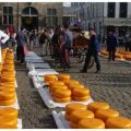 Nederland Gouda say cheese kaasmarkt
